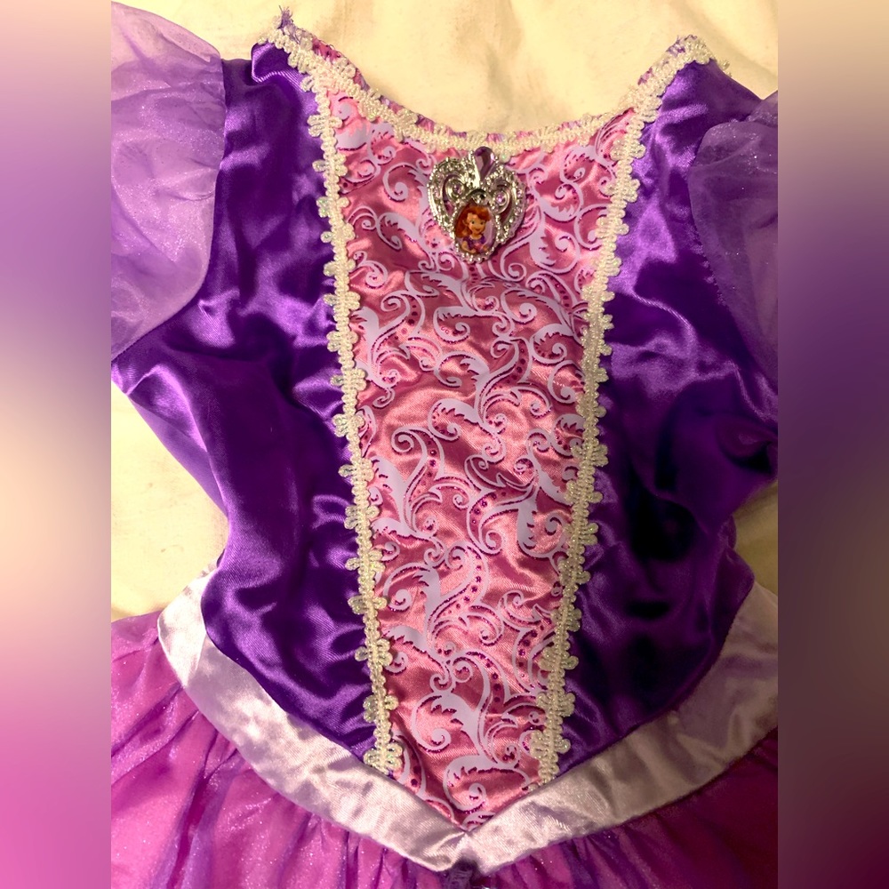 Princess Sophia dress up costume.